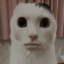 HelloBYE
