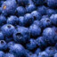 Blueberries