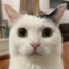 Kevon