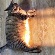 确实开了 不开不会玩