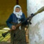 QueenOfRPG-7