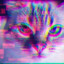 dxrkfox