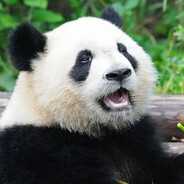 DaMightyPanda