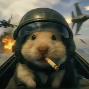 每日一导，状态良好