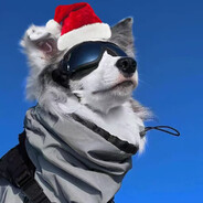 ikun才是跳伞指挥