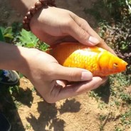 秒妹递药绝活哥