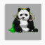 PandaSteveツ