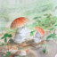 ToadStools