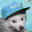 Bark Bark Bark