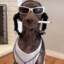 Snoop~Drog surdin