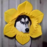 瞄准跟呼吸一样困难