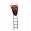 osama bin ladder