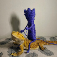 习总走新中特社道路