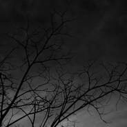 клим "серёжа"