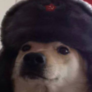 Indy avatar