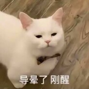 伟少要上幼稚园