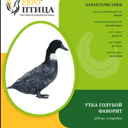 САСИССКИ 13 141