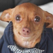 과일㉯㉱ 딸긔겅즤