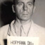 OTTO Hofman