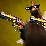 我的枪不够稳更不够快