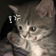 AAA芝士烤榴莲批发商