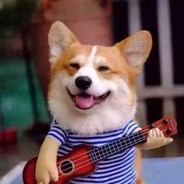 邹硕是个臭傻逼