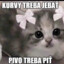 kůňu se nedostane zformy