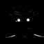 The Watcher