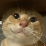 米斯特22
