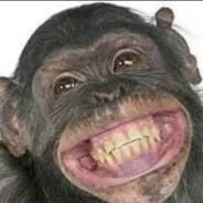 fabi vecerdea taganul nr 1