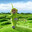 Dipsy