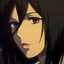 mikasa666