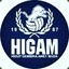 HiGAm