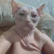 }|{OPA2000 - steam id 76561197961032425