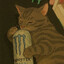 Catcoon