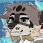 Fluffy Snow Leopard