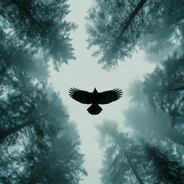 ΛlbanianEagle - steam id 76561199040228993