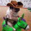 REFORMED cARYBARA