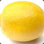 {CITRUS}Lemon