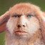 old bunny