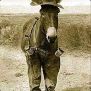 我不管我要刚枪