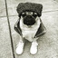 hipster