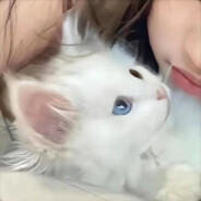 不喜欢我直接去死酱