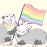 A gay opossum