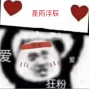 星雨浮辰rain
