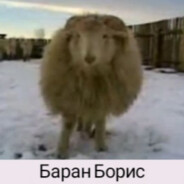 Баран Борис