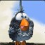 Bad Fly