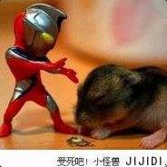 wuliwulifeilongzaitian