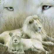 Lionheart