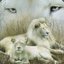 Lionheart
